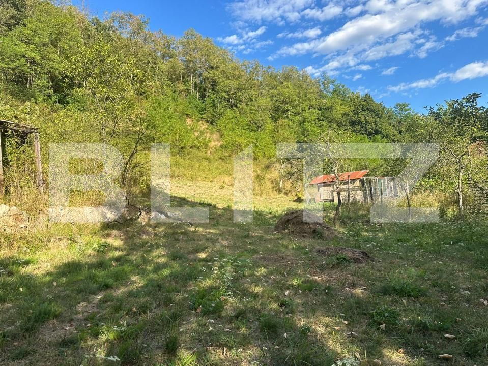 Casa de vânzare 3 camere Cainelu de Sus - 204571CV | BLITZ Deva | Poza15