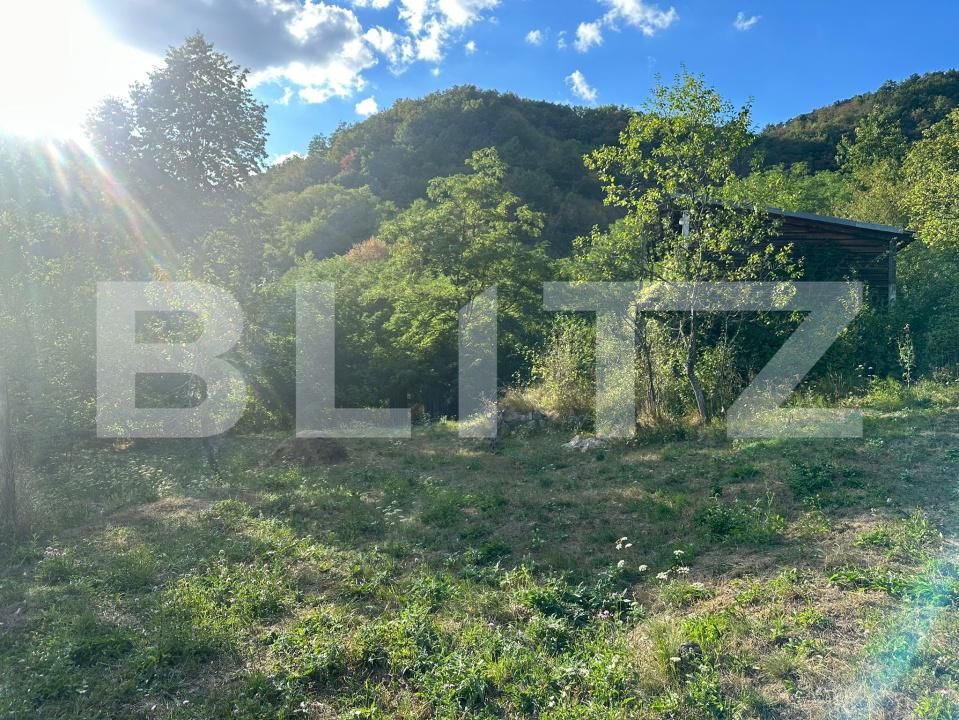 Casa de vânzare 3 camere Cainelu de Sus - 204571CV | BLITZ Deva | Poza13