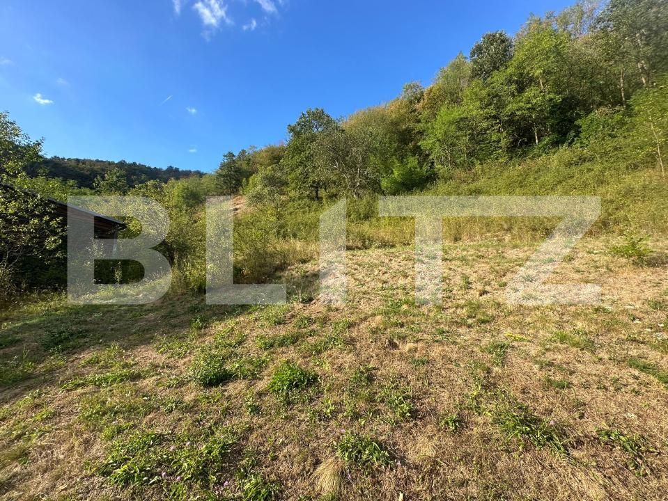 Casa de vânzare 3 camere Cainelu de Sus - 204571CV | BLITZ Deva | Poza14