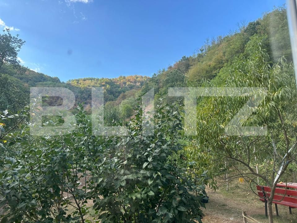 Casa de vânzare 3 camere Cainelu de Sus - 204571CV | BLITZ Deva | Poza10