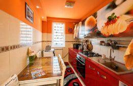 Apartament 2 camere, 48.06 mp, de vanzare