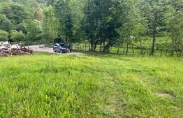 Teren intravilan ,5.800 mp, zona Hatagan