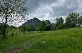 Teren intravilan ,5.800 mp, zona Hatagan
