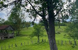 Teren intravilan ,5.800 mp, zona Hatagan