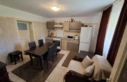 Două case, 160 mp, garaj, 1.370 mp de teren, zona Lesnic