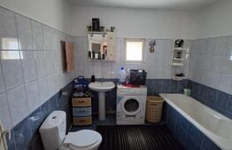 Două case, 160 mp, garaj, 1.370 mp de teren, zona Lesnic