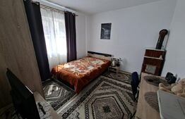 Două case, 160 mp, garaj, 1.370 mp de teren, zona Lesnic