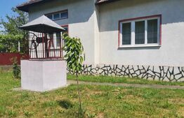 Două case, 160 mp, garaj, 1.370 mp de teren, zona Lesnic