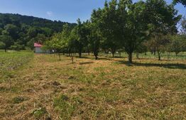 Două case, 160 mp, garaj, 1.370 mp de teren, zona Lesnic