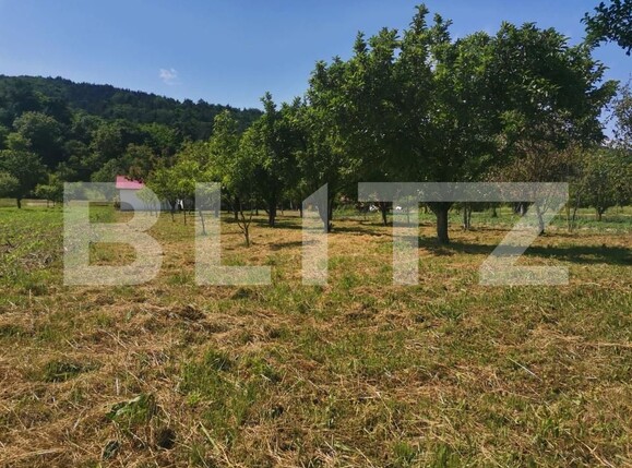 Casa de vânzare 5 camere Lesnic - 204897CV | BLITZ Deva | Poza13