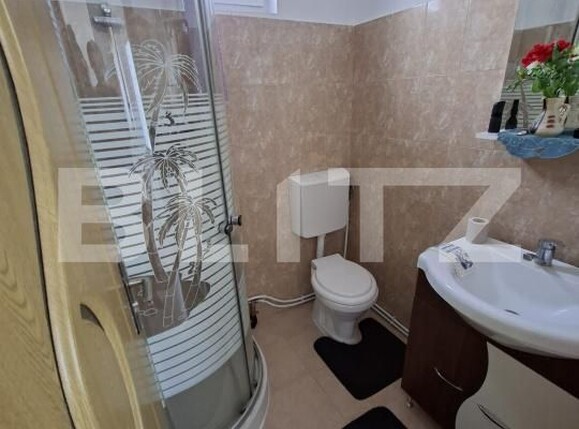 Casa de vânzare 5 camere Lesnic - 204897CV | BLITZ Deva | Poza10