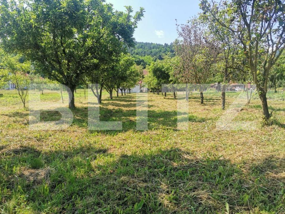 Casa de vânzare 5 camere Lesnic - 204897CV | BLITZ Deva | Poza12