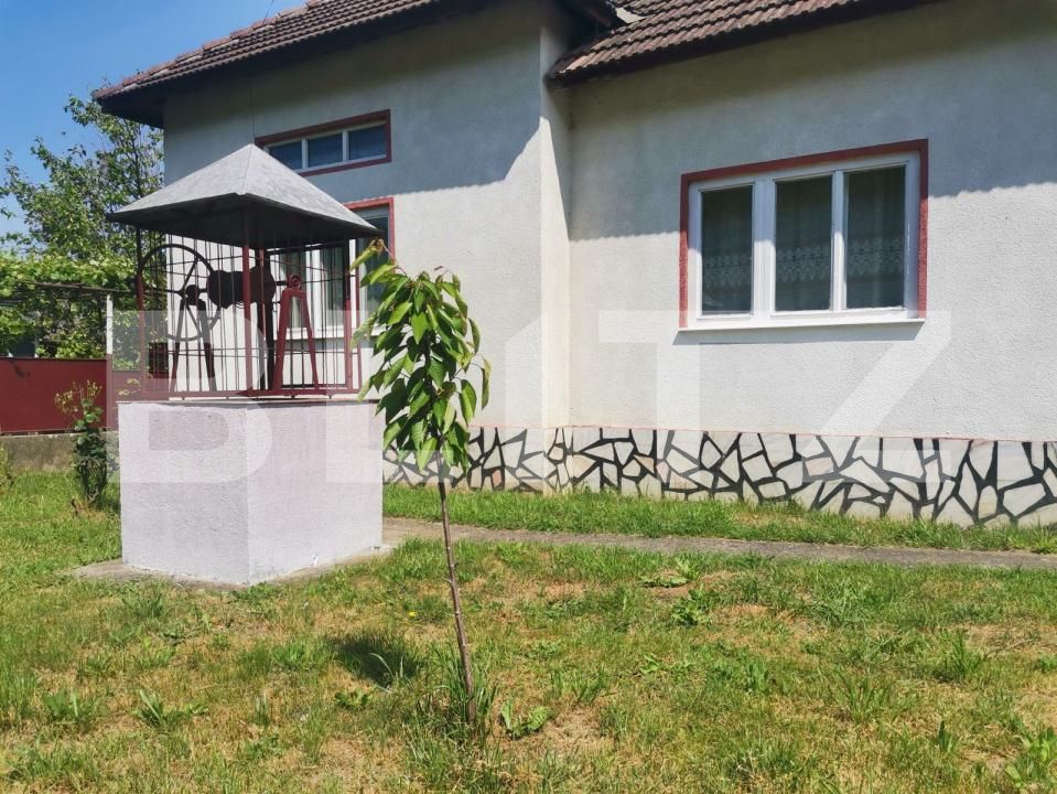 Casa de vânzare 5 camere Lesnic - 204897CV | BLITZ Deva | Poza2