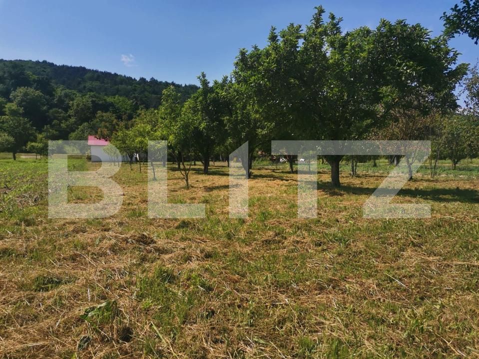 Casa de vânzare 5 camere Lesnic - 204897CV | BLITZ Deva | Poza13