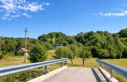 Vilă modernă 300 mp + 3,27 ha teren , Gothatea / Gurasada - 30 km Deva
