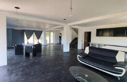 Vilă modernă 300 mp + 3,27 ha teren , Gothatea / Gurasada - 30 km Deva