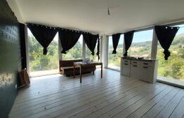 Vilă modernă 300 mp + 3,27 ha teren , Gothatea / Gurasada - 30 km Deva