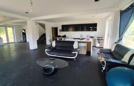Vilă modernă 300 mp + 3,27 ha teren , Gothatea / Gurasada - 30 km Deva