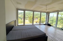 Vilă modernă 300 mp + 3,27 ha teren , Gothatea / Gurasada - 30 km Deva