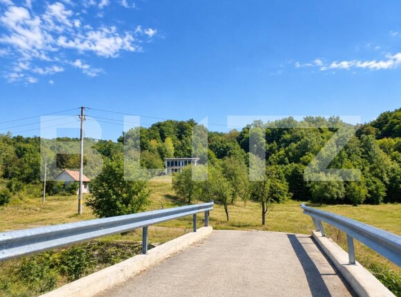Casa de vânzare 3 camere Gothatea - 204912CV | BLITZ Deva | Poza2