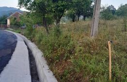 Teren extravilan, 2.175 mp, zona Șesuri