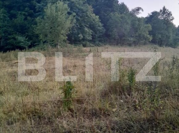 Teren de vânzare Sesuri - 205055TV | BLITZ Deva | Poza2