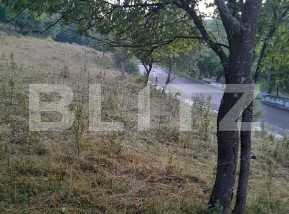 Teren de vânzare Sesuri - 205055TV | BLITZ Deva | Poza3