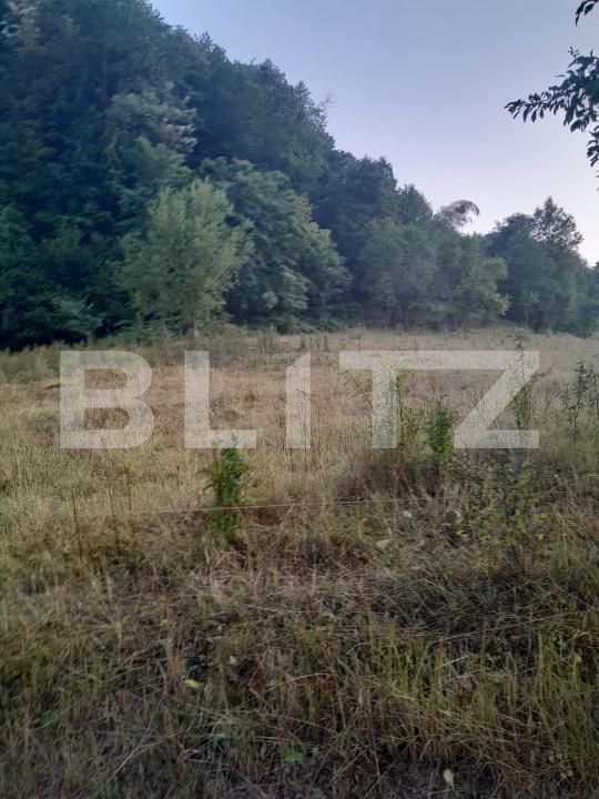 Teren de vânzare Sesuri - 205055TV | BLITZ Deva | Poza2