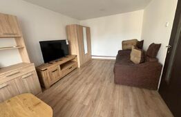 Garsonieră de vânzare, 30 mp, zona Dorobanți