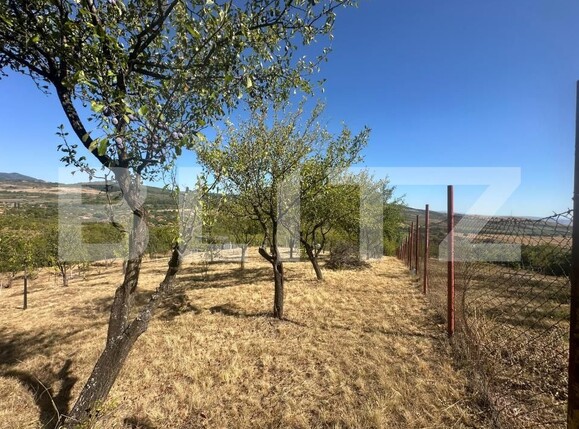 Casa de vânzare 2 camere Barsau - 205219CV | BLITZ Deva | Poza9