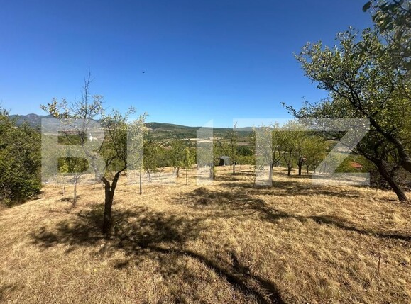 Casa de vânzare 2 camere Barsau - 205219CV | BLITZ Deva | Poza11