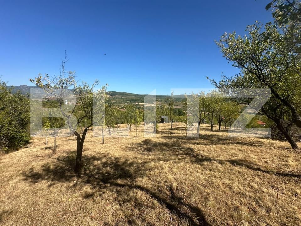 Casa de vânzare 2 camere Barsau - 205219CV | BLITZ Deva | Poza11