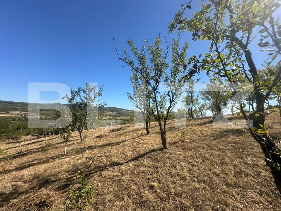 Casa de vânzare 2 camere Barsau - 205219CV | BLITZ Deva | Poza10