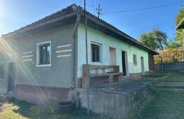 Proprietate cu 7.247 mp teren intravilan și multiple construcții – Hărțăgani