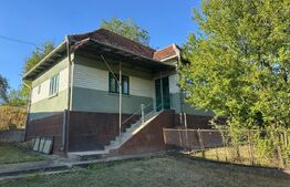 Proprietate cu 7.247 mp teren intravilan și multiple construcții – Hărțăgani