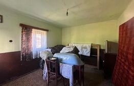 Proprietate cu 7.247 mp teren intravilan și multiple construcții – Hărțăgani