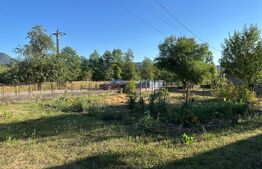 Proprietate cu 7.247 mp teren intravilan și multiple construcții – Hărțăgani