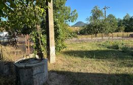 Proprietate cu 7.247 mp teren intravilan și multiple construcții – Hărțăgani