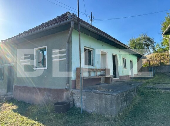Casa de vânzare 7 camere Hartagani - 205224CV | BLITZ Deva | Poza9