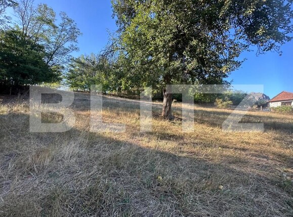 Casa de vânzare 7 camere Hartagani - 205224CV | BLITZ Deva | Poza13