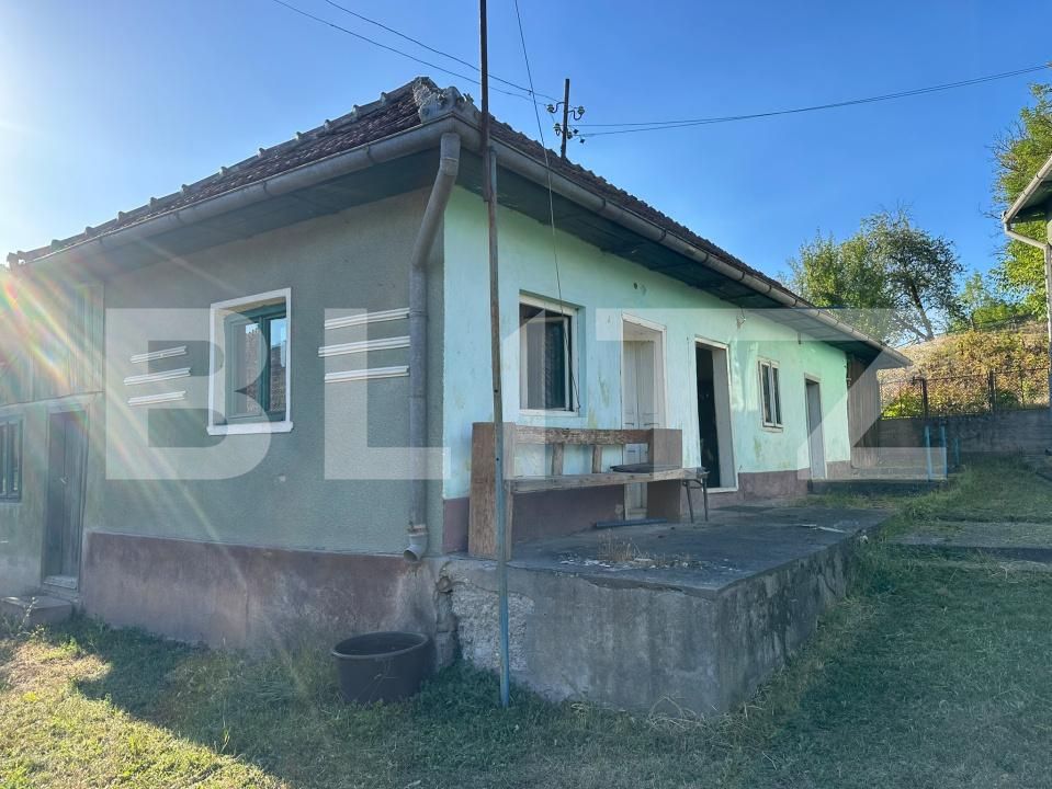 Casa de vânzare 7 camere Hartagani - 205224CV | BLITZ Deva | Poza9