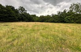 Teren intravilan de vanzare, 1.400 mp, zona Viile Noi