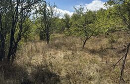 Teren intravilan de vanzare, 1.400 mp, zona Viile Noi