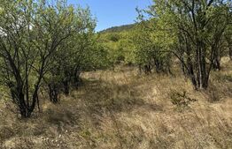 Teren intravilan de vanzare, 1.400 mp, zona Viile Noi