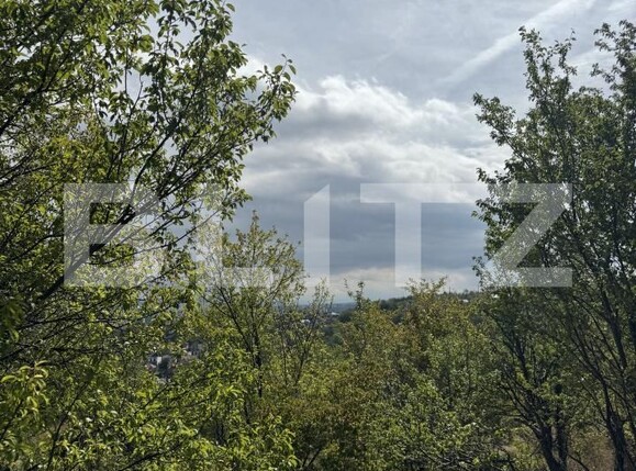 Teren de vânzare Viile Noi - 205296TV | BLITZ Deva | Poza2