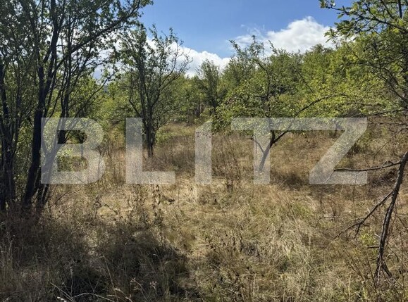 Teren de vânzare Viile Noi - 205296TV | BLITZ Deva | Poza3