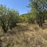 Teren de vânzare Viile Noi - 205296TV - Poza 1 din 3 | BLITZ Deva | Poza3