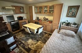 Casa 163 mp, teren 3.446 mp, zona Beriu 