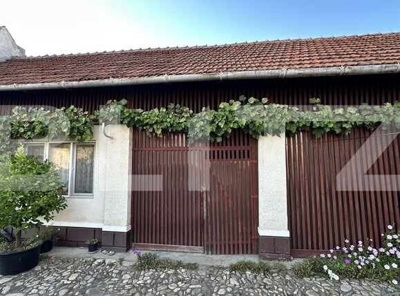 Casa de vânzare 4 camere Beriu - 205323CV | BLITZ Deva | Poza4
