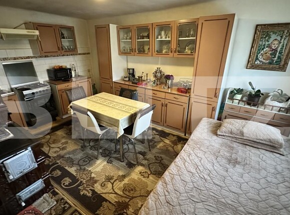Casa de vânzare 4 camere Beriu - 205323CV | BLITZ Deva | Poza9